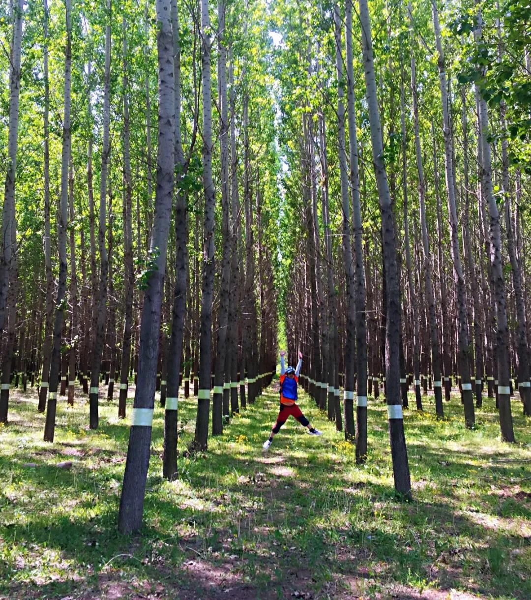 1621728647806342.jpg 12.jpg